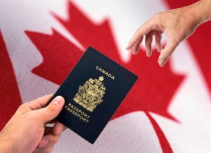 Canadian Immigration Consultants