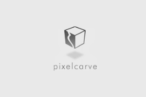 immigration services for pixelcarve